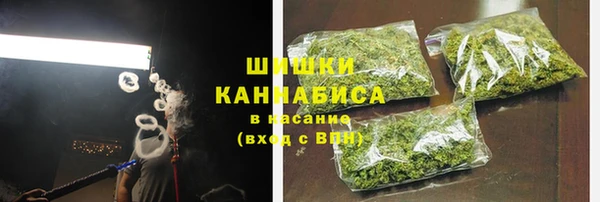 сатива Армянск