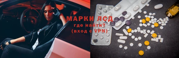 сатива Армянск