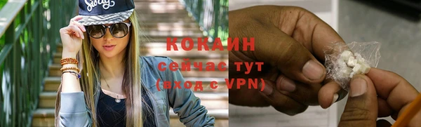 сатива Армянск