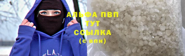 сатива Армянск