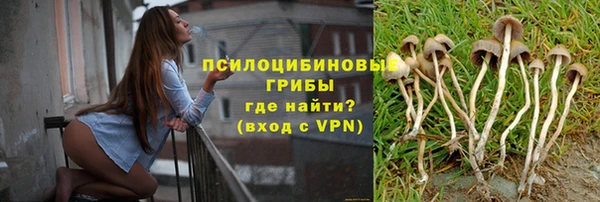 сатива Армянск