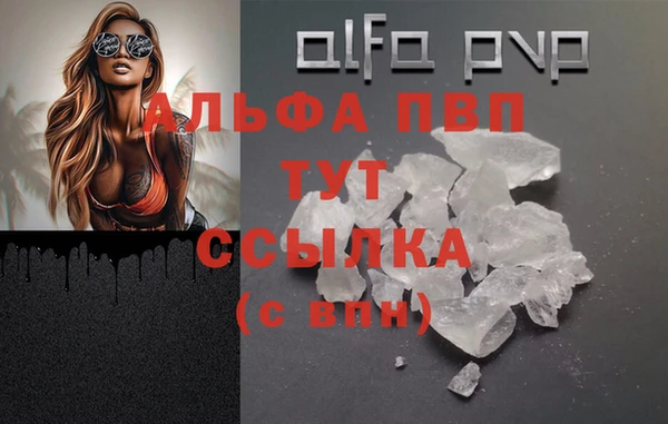 сатива Армянск