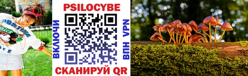 Галлюциногенные грибы Psilocybine cubensis Сатка